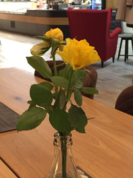 Im Café Wachberg Geheimtipp Leipzig